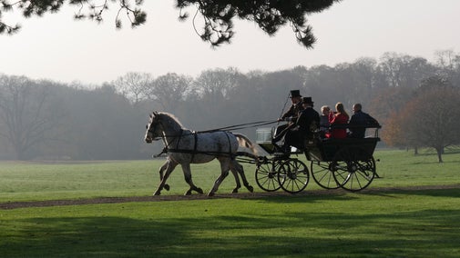 family in a carriage being pulled by grey horses along the drive with the parkland in the background